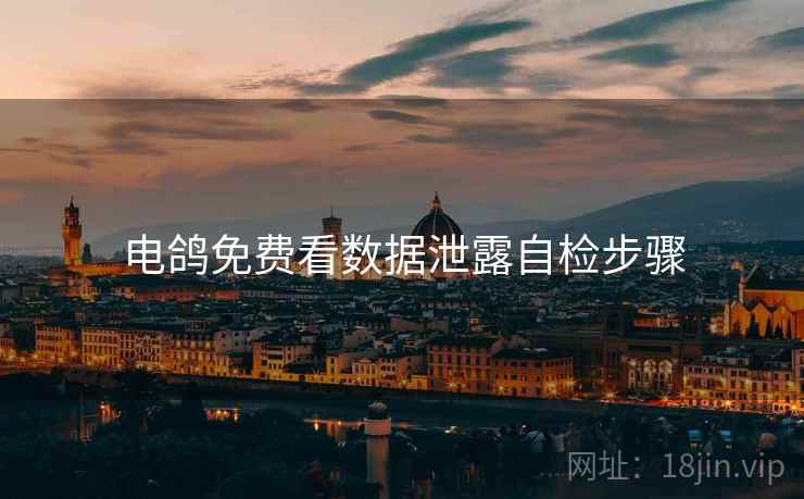 电鸽免费看数据泄露自检步骤