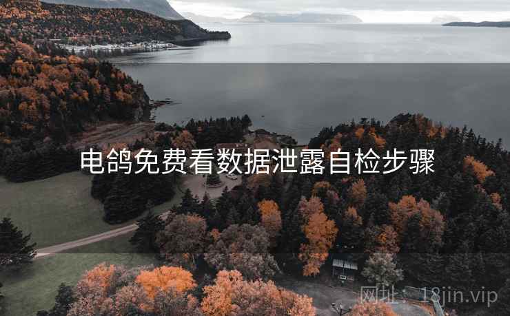 电鸽免费看数据泄露自检步骤