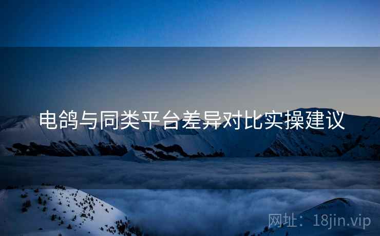 电鸽与同类平台差异对比实操建议
