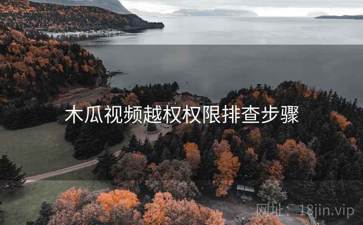 木瓜视频越权权限排查步骤