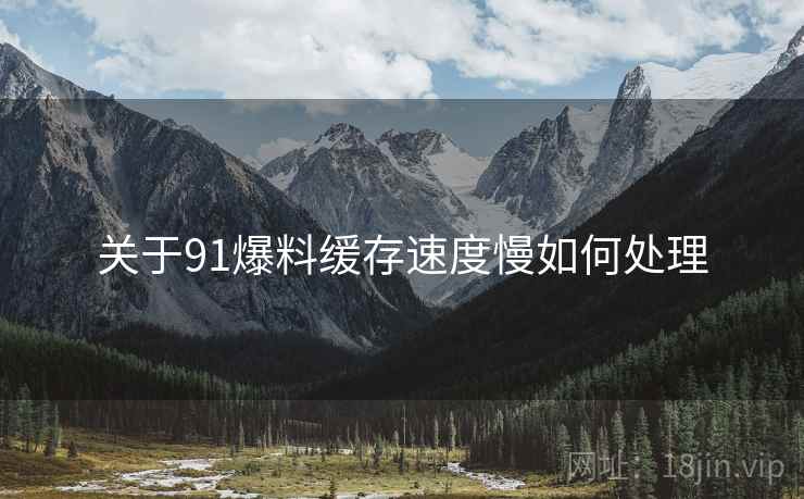 关于91爆料缓存速度慢如何处理