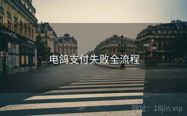 电鸽支付失败全流程