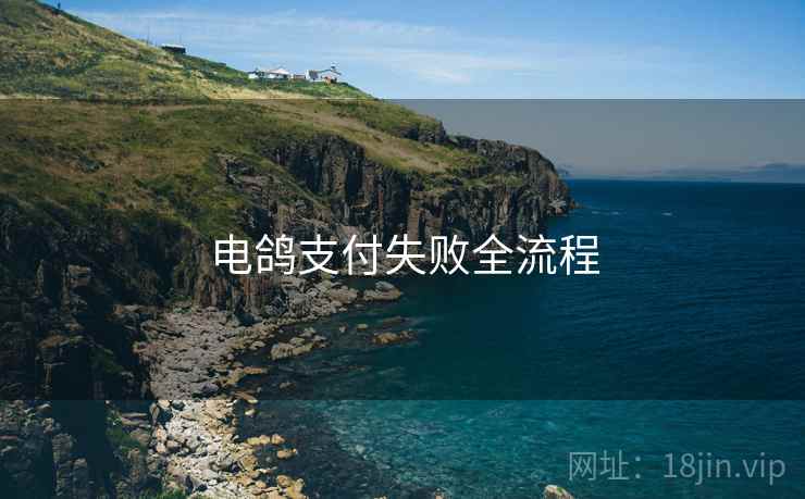 电鸽支付失败全流程