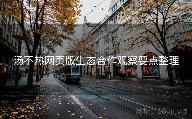 汤不热网页版生态合作观察要点整理