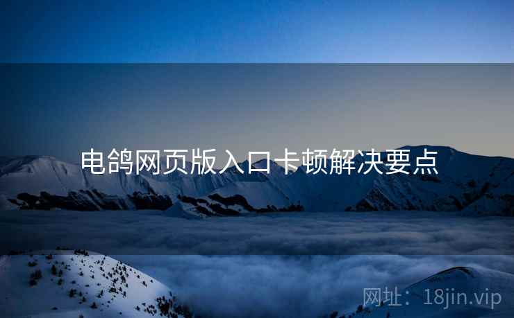 电鸽网页版入口卡顿解决要点