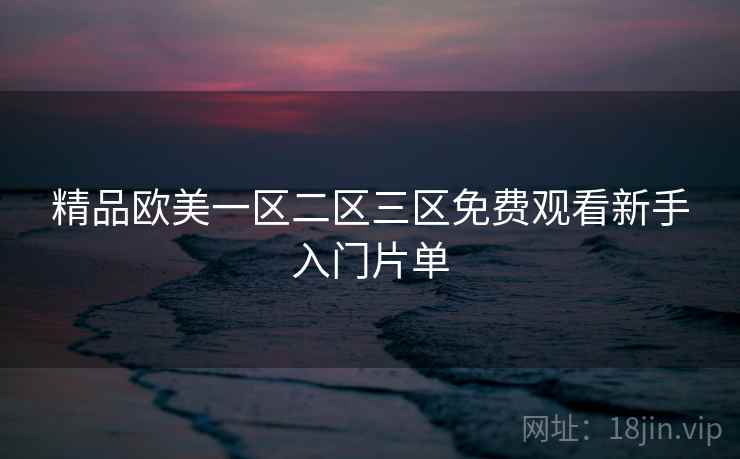 精品欧美一区二区三区免费观看新手入门片单