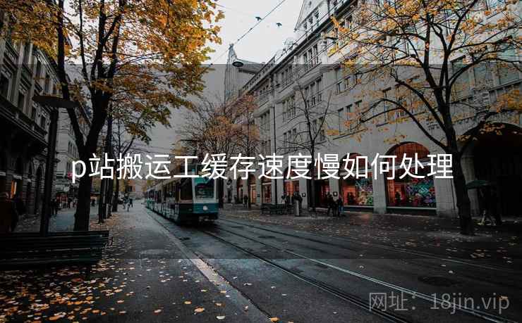 p站搬运工缓存速度慢如何处理