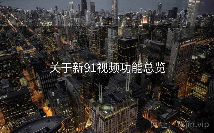 关于新91视频功能总览