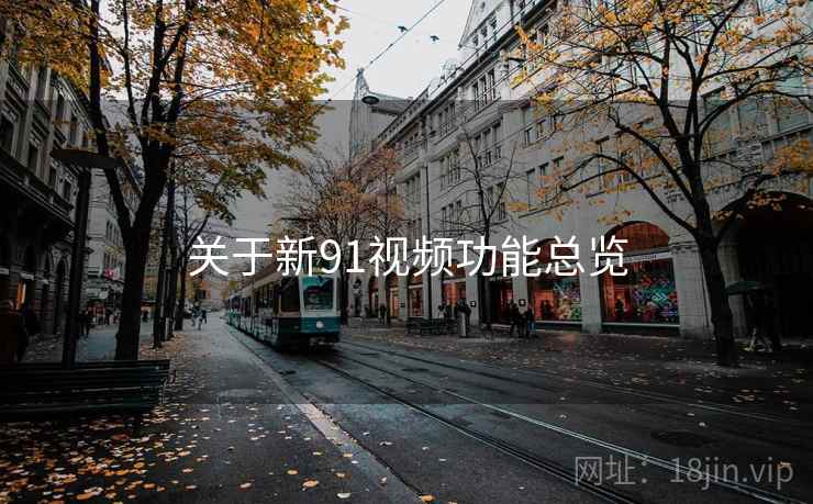 关于新91视频功能总览