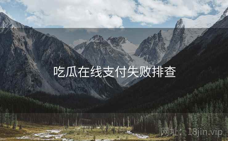 吃瓜在线支付失败排查