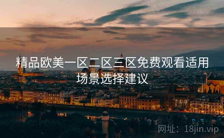 精品欧美一区二区三区免费观看适用场景选择建议