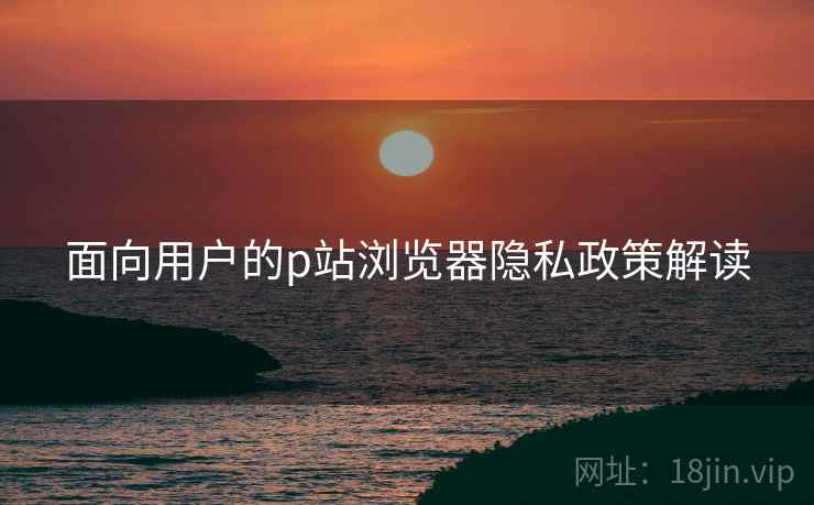 面向用户的p站浏览器隐私政策解读