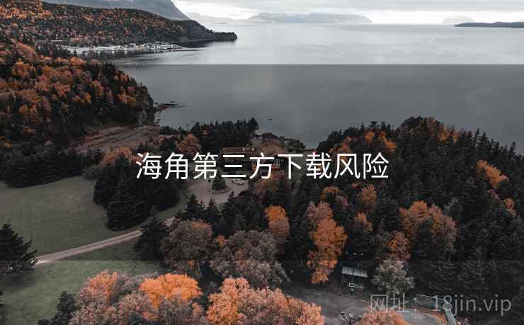 海角第三方下载风险