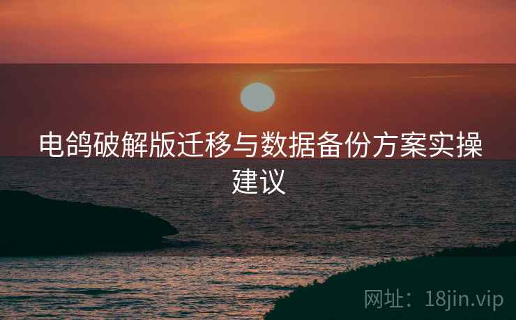 电鸽破解版迁移与数据备份方案实操建议