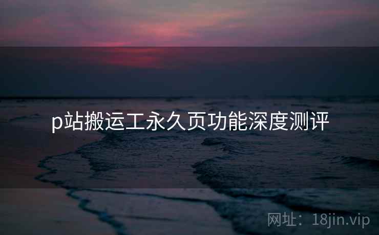 p站搬运工永久页功能深度测评