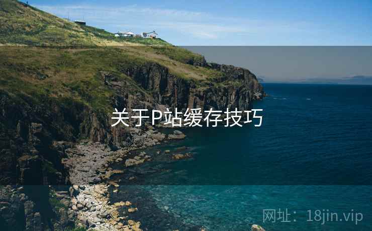 关于P站缓存技巧