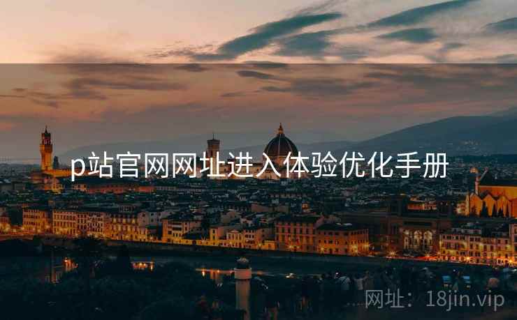 p站官网网址进入体验优化手册