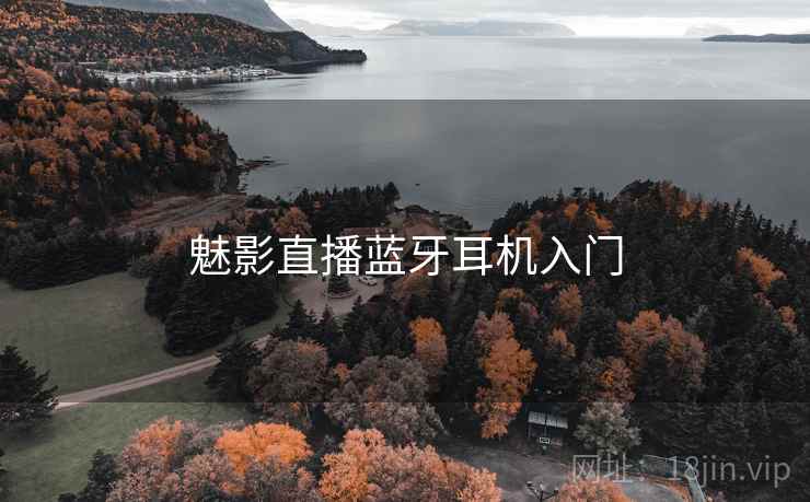 魅影直播蓝牙耳机入门