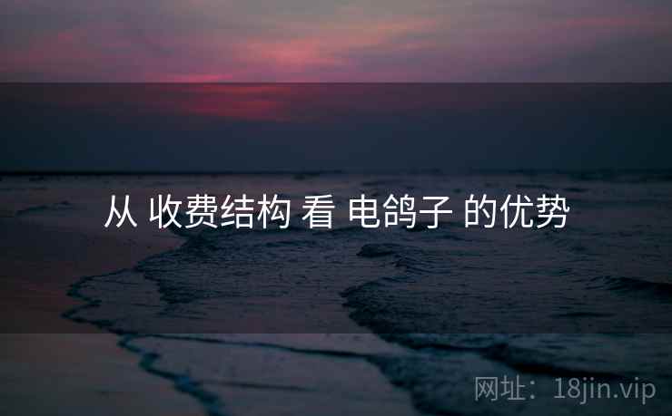 从 收费结构 看 电鸽子 的优势